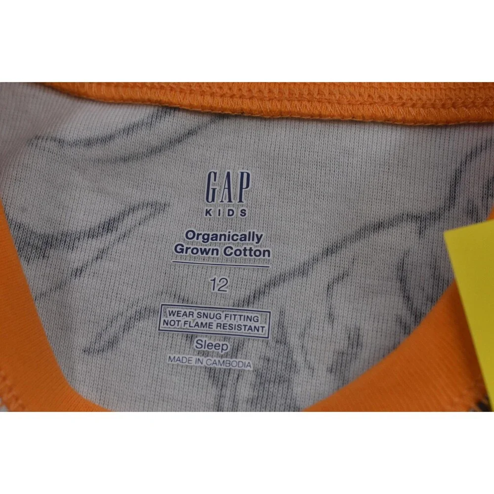 Gap Kids Pajama Set Kids 12 Green Dinosaur Print Organic Cotton Sleep Top Pants